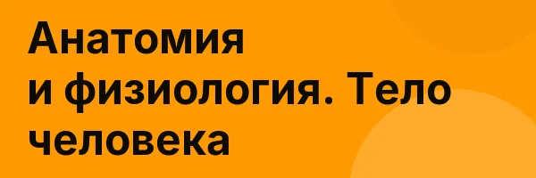 Анатомия и физиология. Тело человека