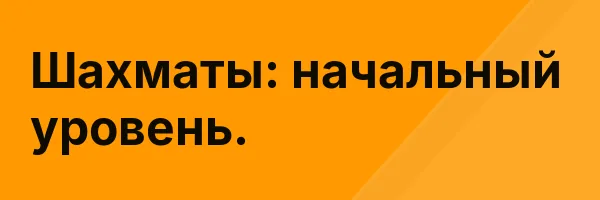 Шахматы: начальный уровень.