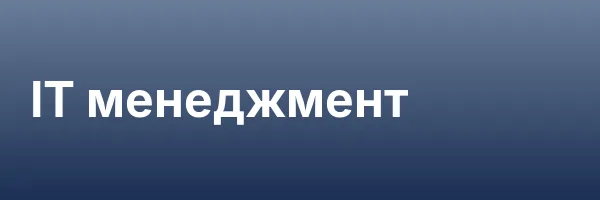 IT менеджмент
