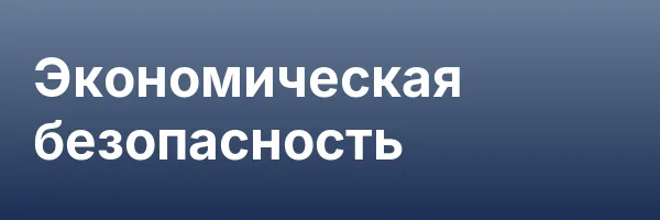 Экономическая безопасность