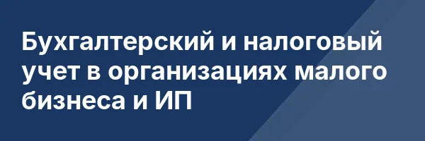 Бухгалтерский и налоговый учет в организациях малого бизнеса и ИП