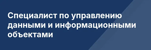 Специалист по управлению данными и информационными объектами