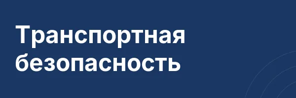 Транспортная безопасность