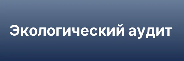 Экологический аудит