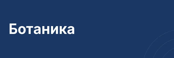 Ботаника