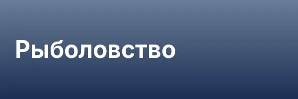 Рыболовство