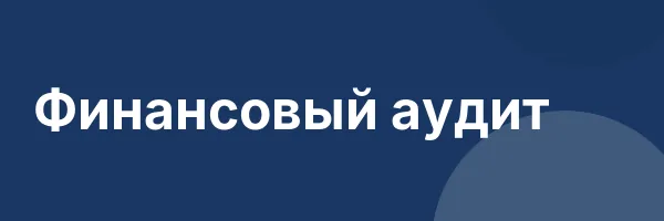 Финансовый аудит