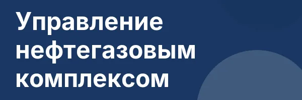 Управление нефтегазовым комплексом