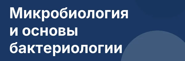 Микробиология и основы бактериологии