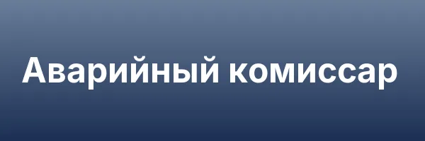 Аварийный комиссар