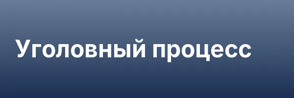 Уголовный процесс