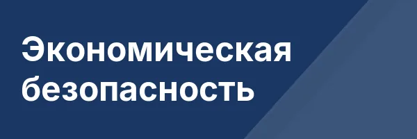 Экономическая безопасность
