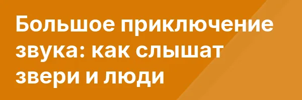 Большое приключение звука: как слышат звери и люди