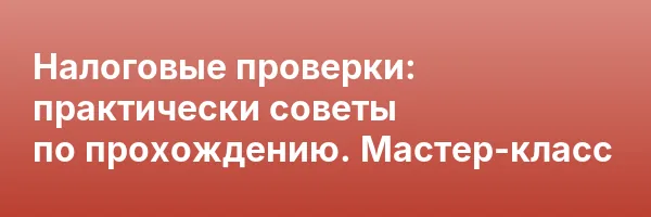 Налоговые проверки: практически советы по прохождению. Мастер-класс