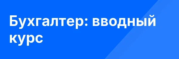 Бухгалтер: вводный курс