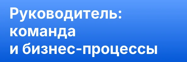 Руководитель: команда и бизнес-процессы