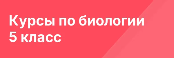 Курсы по биологии 5 класс