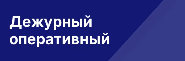 Дежурный оперативный