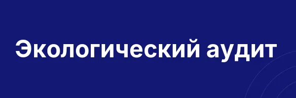Экологический аудит