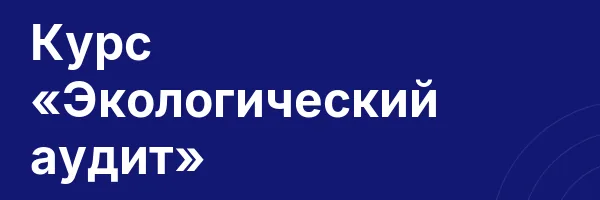 Курс «Экологический аудит»