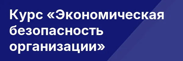 Курс «Экономическая безопасность организации»