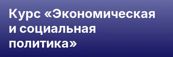 Курс «Экономическая и социальная политика»