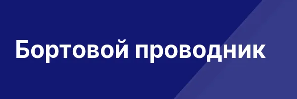 Бортовой проводник