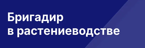 Бригадир в растениеводстве