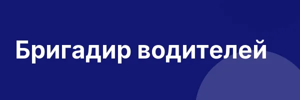 Бригадир водителей