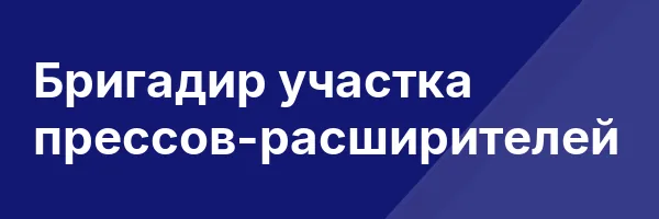 Бригадир участка прессов-расширителей