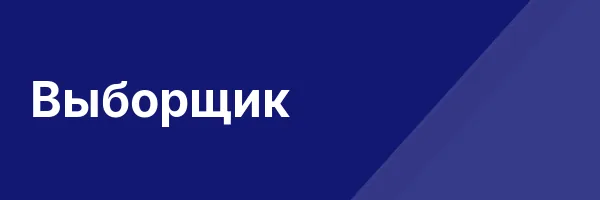 Выборщик