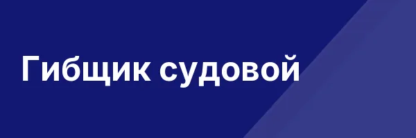 Гибщик судовой
