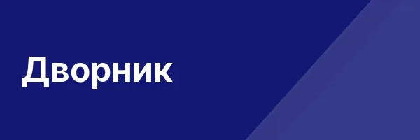 Дворник