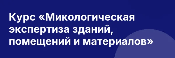 Курс «Микологическая экспертиза зданий, помещений и материалов»