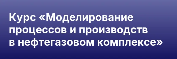Курс «Моделирование процессов и производств в нефтегазовом комплексе»