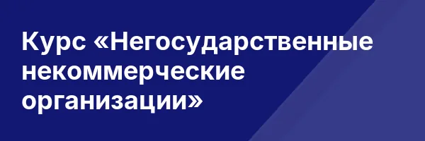 Курс «Негосударственные некоммерческие организации»