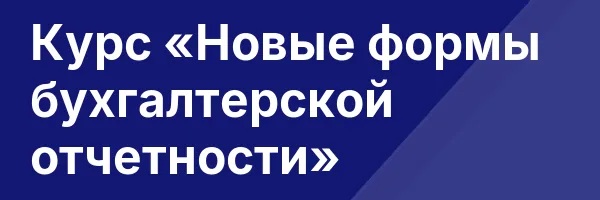 Курс «Новые формы бухгалтерской отчетности»