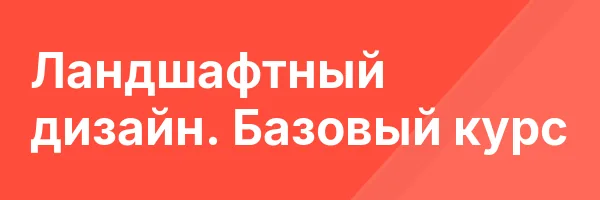 Ландшафтный дизайн. Базовый курс