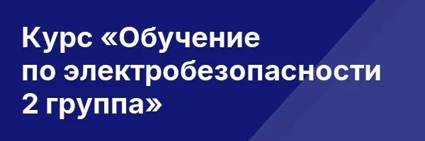 Курс «Обучение по электробезопасности 2 группа»