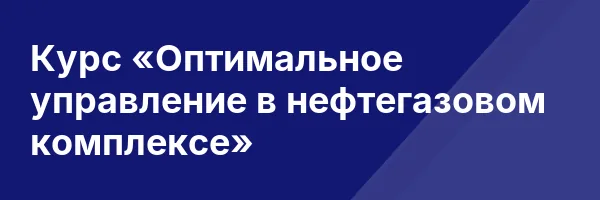 Курс «Оптимальное управление в нефтегазовом комплексе»