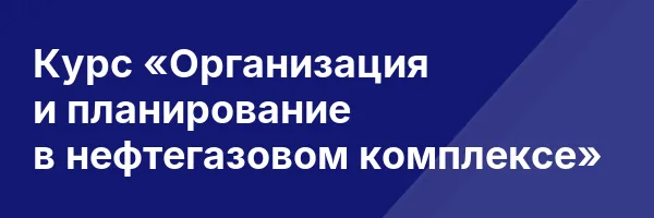 Курс «Организация и планирование в нефтегазовом комплексе»