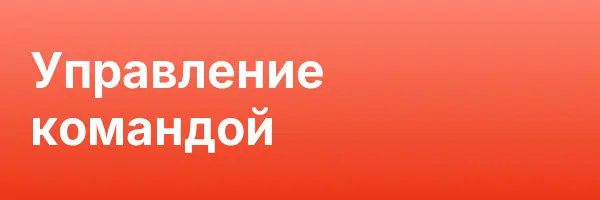 Управление командой