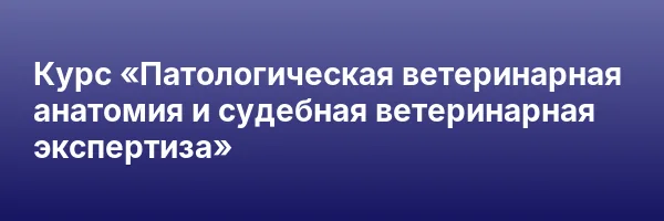 Курс «Патологическая ветеринарная анатомия и судебная ветеринарная экспертиза»