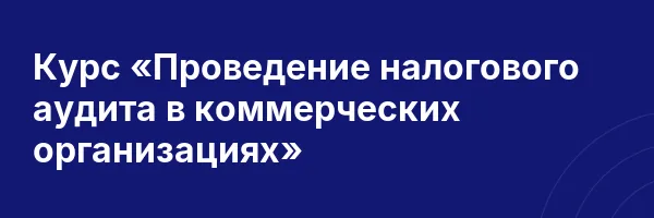 Курс «Проведение налогового аудита в коммерческих организациях»