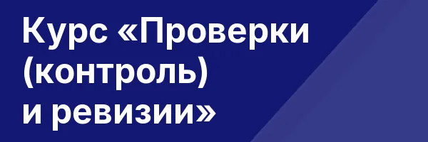 Курс «Проверки (контроль) и ревизии»