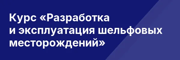 Курс «Разработка и эксплуатация шельфовых месторождений»