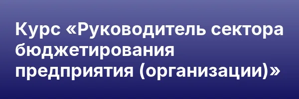Курс «Руководитель сектора бюджетирования предприятия (организации)»