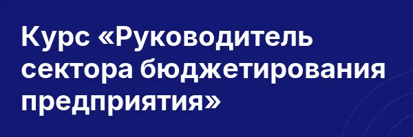 Курс «Руководитель сектора бюджетирования предприятия»