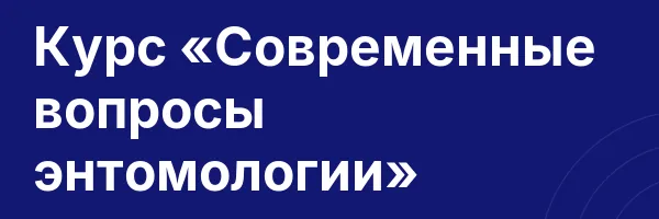 Курс «Современные вопросы энтомологии»