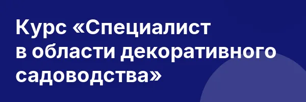 Курс «Специалист в области декоративного садоводства»